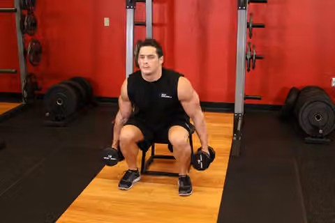 Demonstrasi gerakan Dumbbell Squat To A Bench.