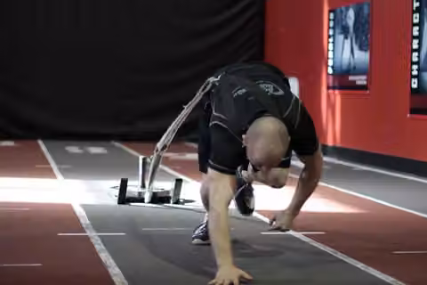 Demonstrasi gerakan Bear Crawl Sled Drags.
